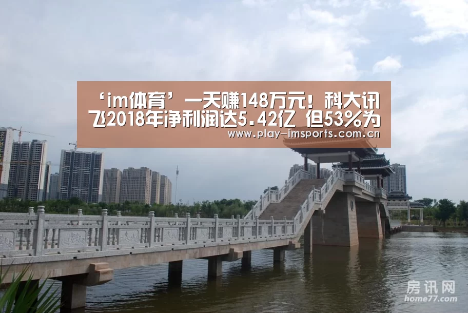‘im体育’一天赚148万元!科大讯飞2018年净利润达5.42亿 但53%为政府补助(图2) im体育官网