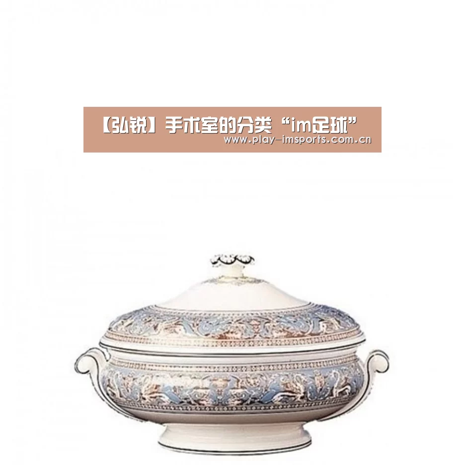 【弘锐】手术室的分类“im足球”(图2) im足球