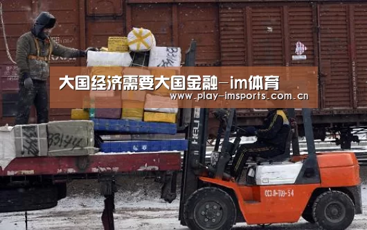 大国经济需要大国金融-im体育